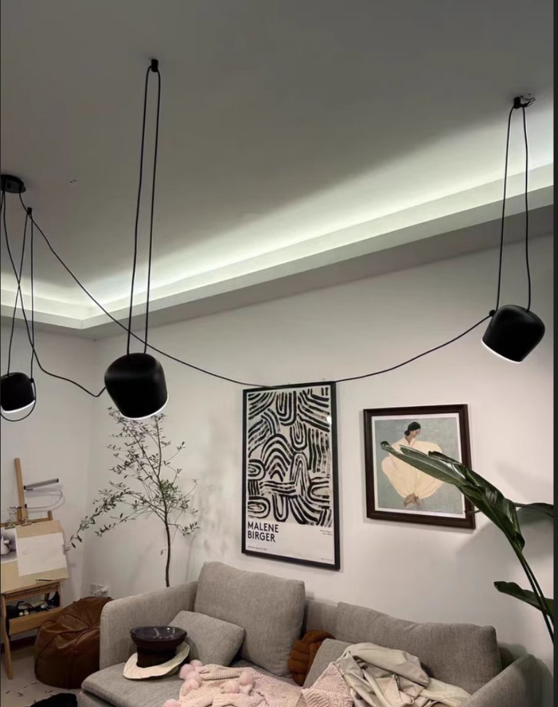 Customer scene with Aim pendant light