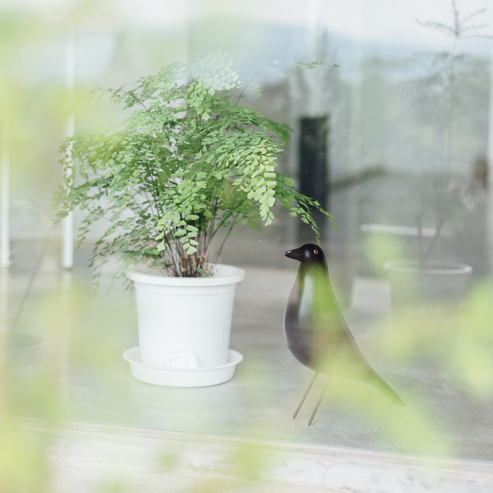 Eames House Bird