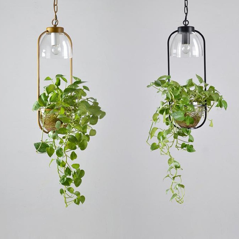 Water Plants Glass Pendant Light