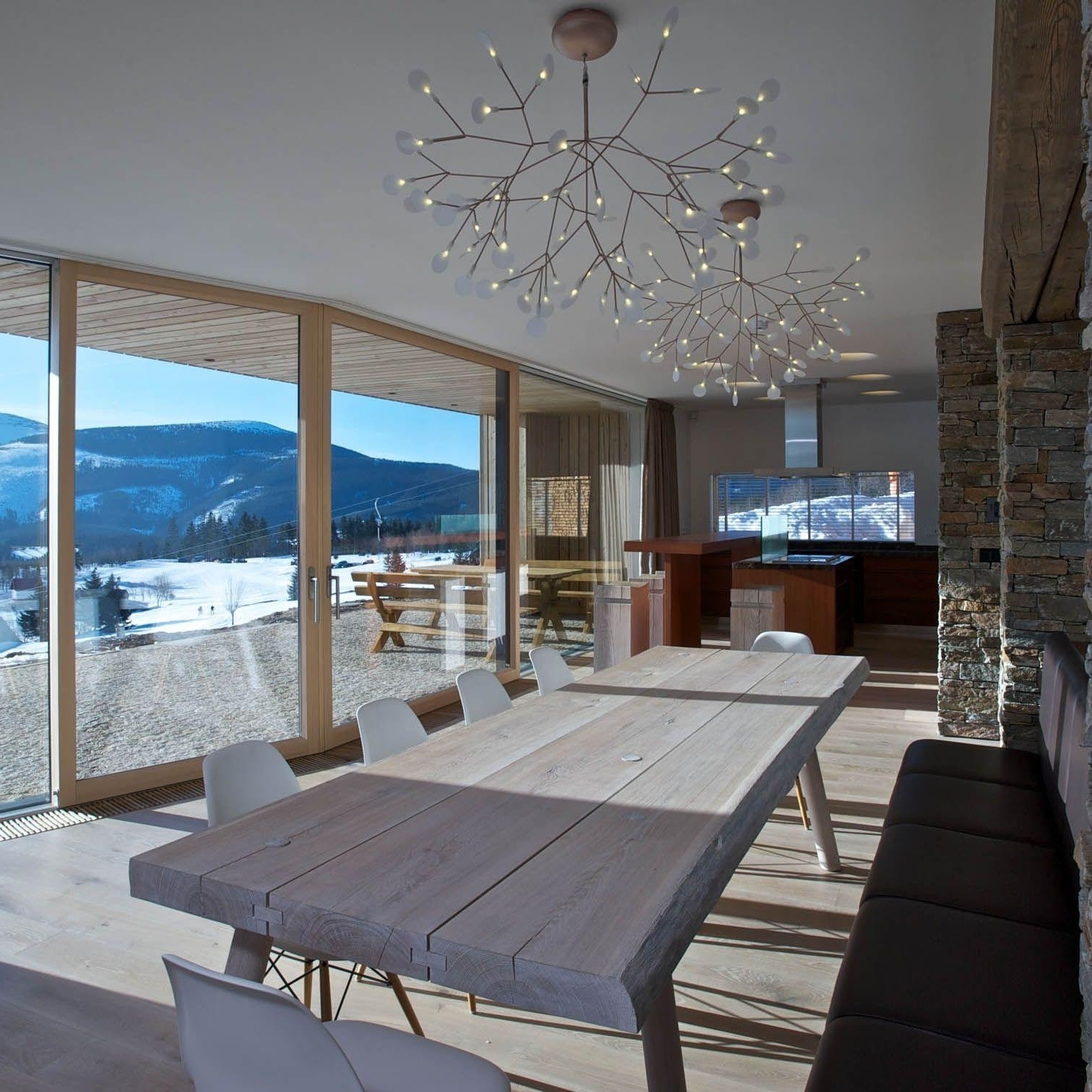 Heracleum Chandelier