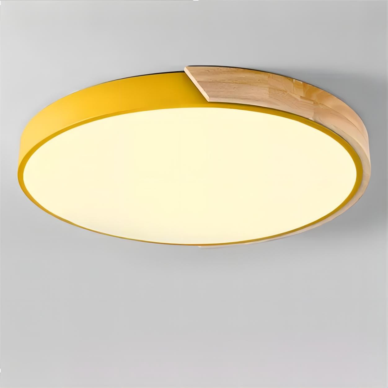ARTRA Scandinavian LED Ceiling Light