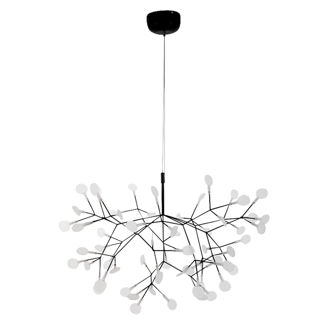Heracleum Chandelier