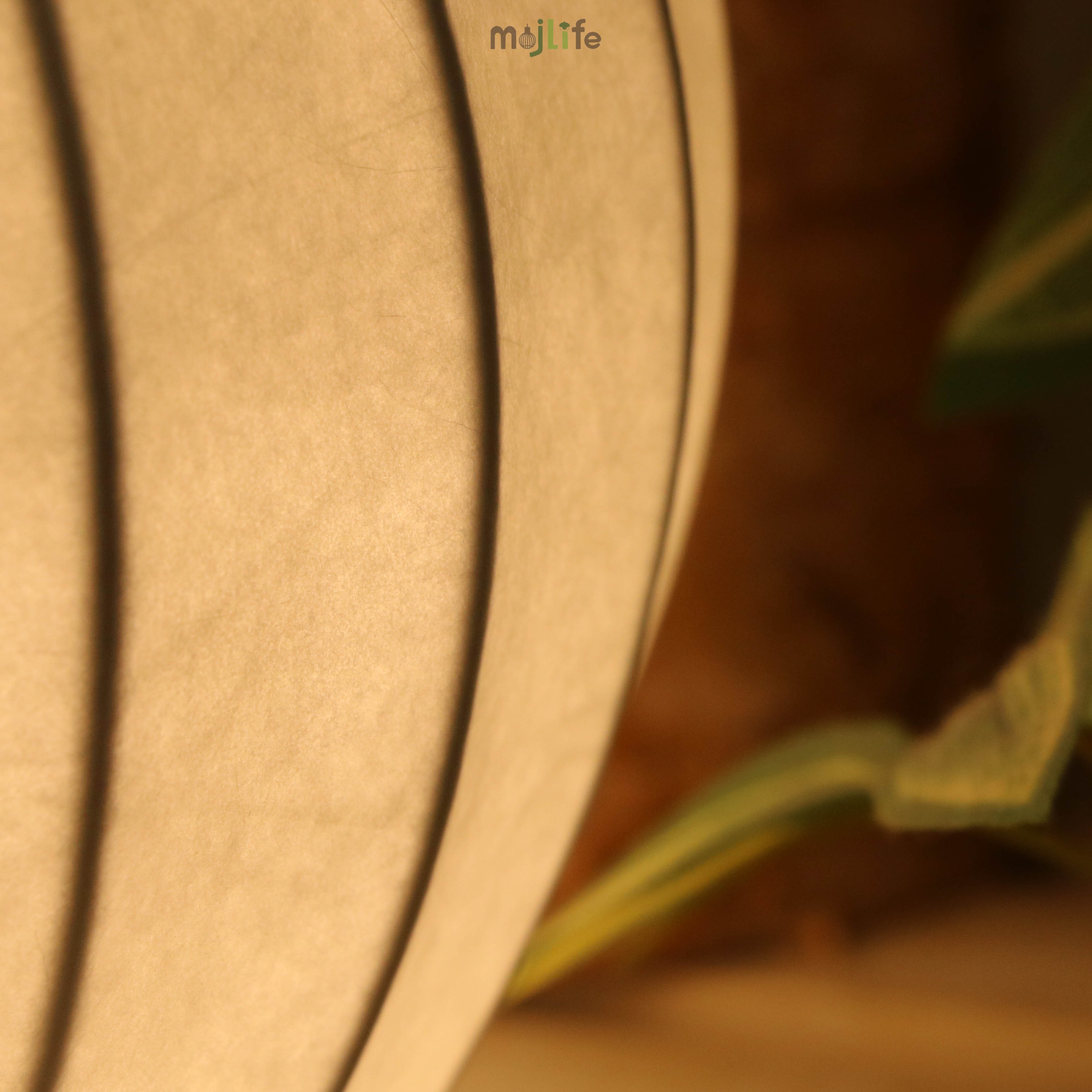 Gatto Table Lamp