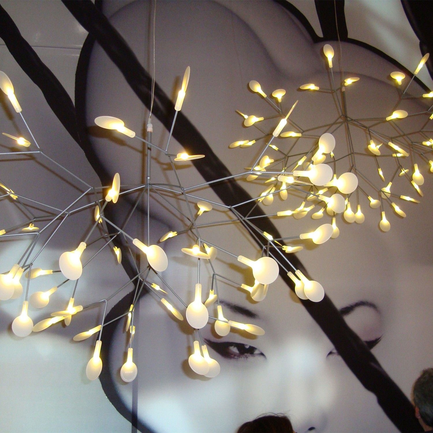 Heracleum Chandelier