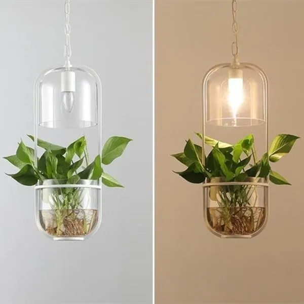 Water Plants Glass Pendant Light