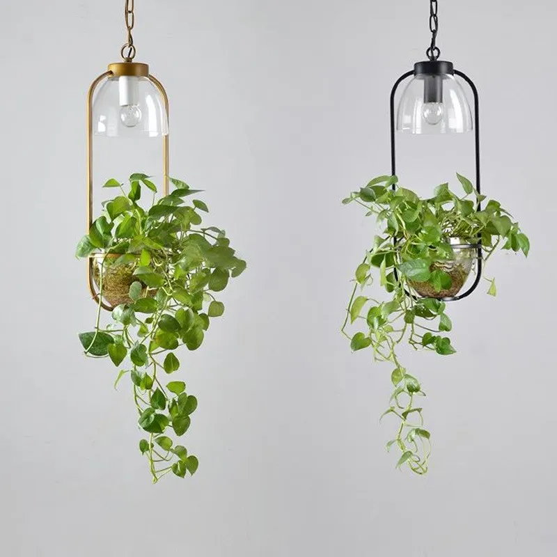 Water Plants Glass Pendant Light
