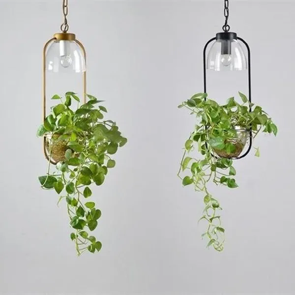 Water Plants Glass Pendant Light